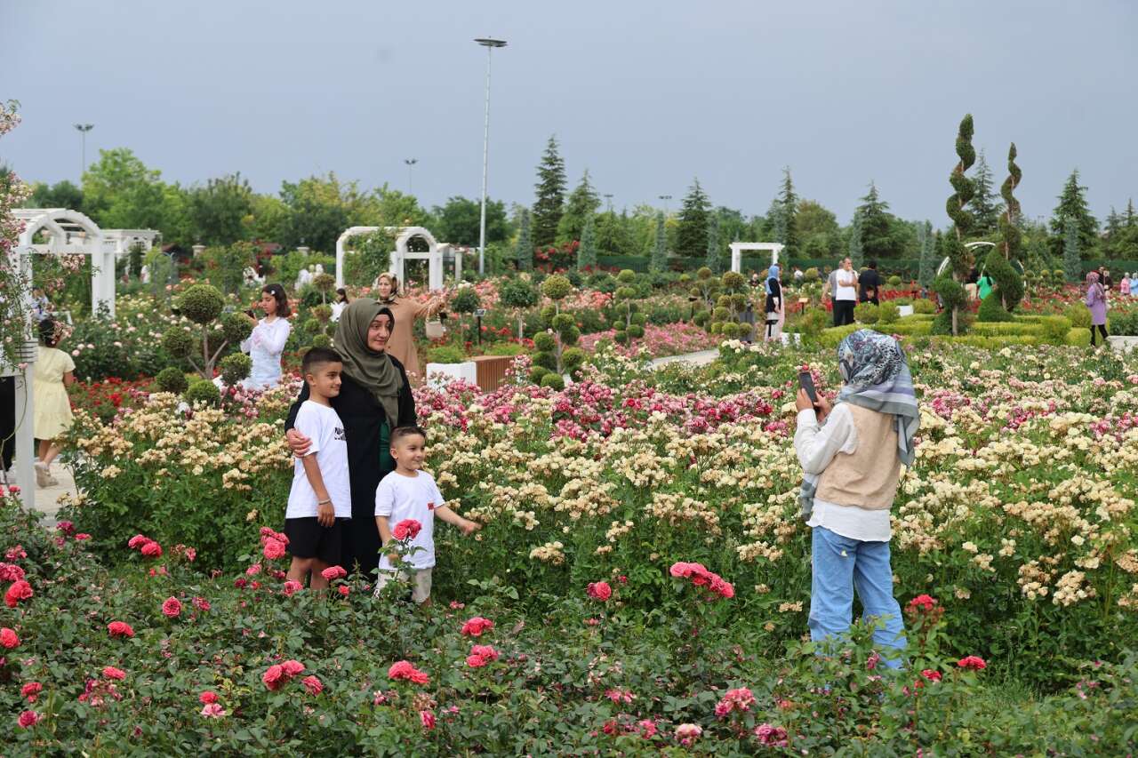 Türkiye'yi Konya'ya çeken Karatay'ın mor ve renkli cenneti gönülleri fethetti 1